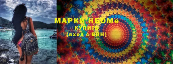 прущие грибы Новозыбков