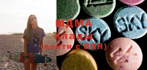 прущие грибы Новозыбков