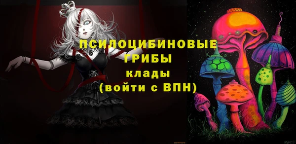 бошки Алексеевка