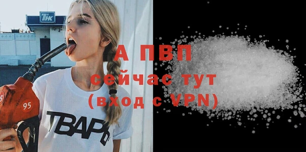 соль ск Новодвинск