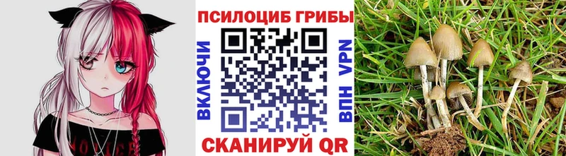 Галлюциногенные грибы Magic Shrooms  Сортавала 
